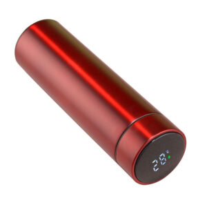 Stainless Steel Temperature Water Bottle with LED Temperature Display