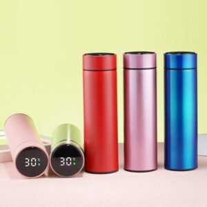 Stainless Steel Temperature Water Bottle with LED Temperature Display