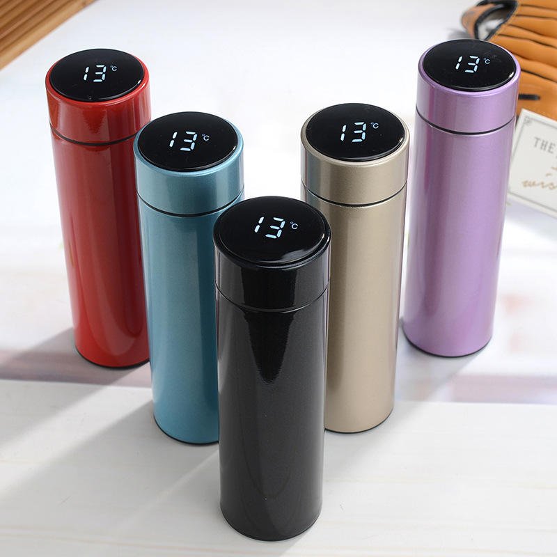 Stainless Steel Temperature Water Bottle with LED Temperature Display